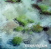 Ecosystem